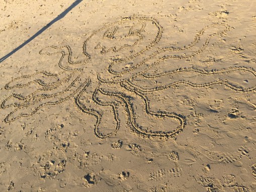 My octopus.  I named him Nelson.