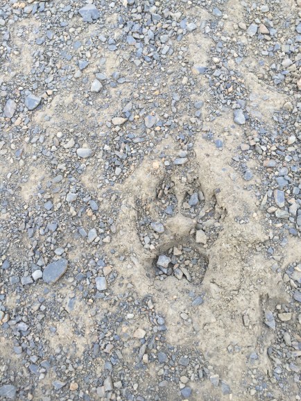 Always interesting to see who was here before you were